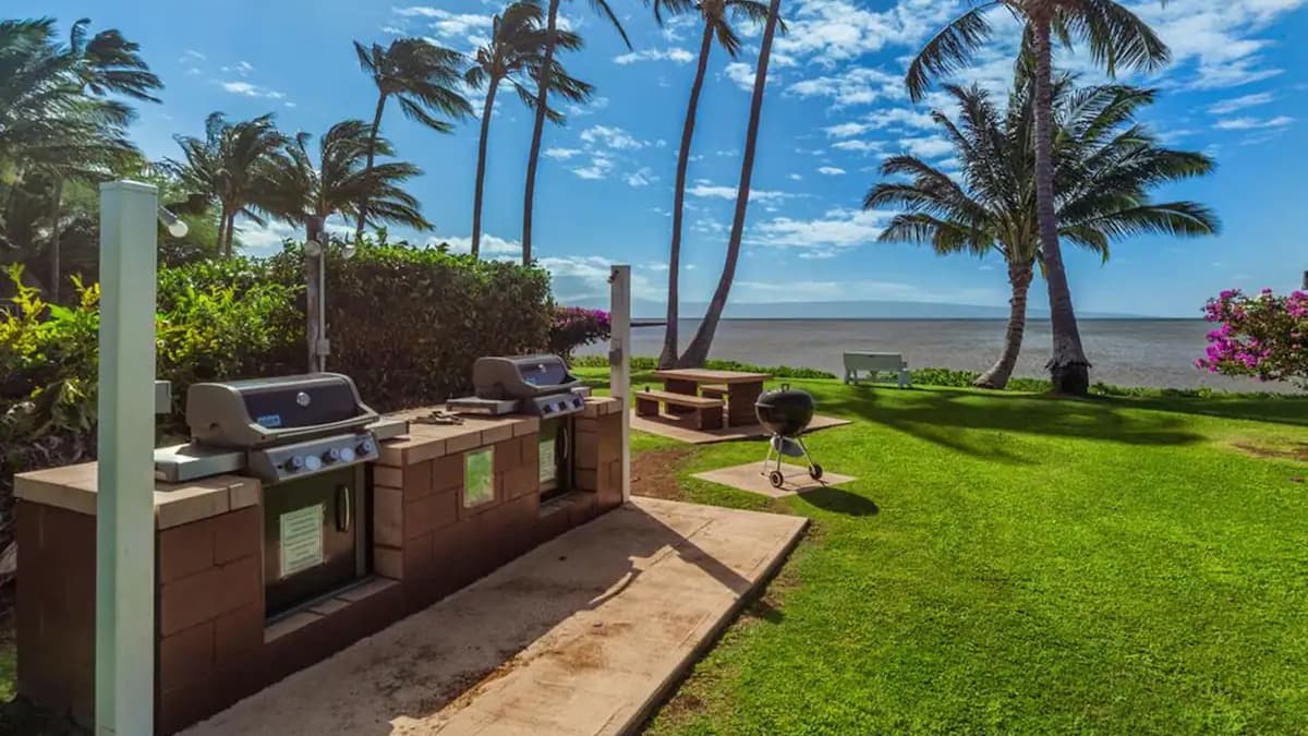 Outdoor BBQ area with two grills, picnic table, and palm trees. Lush green lawn with ocean view and blue sky.