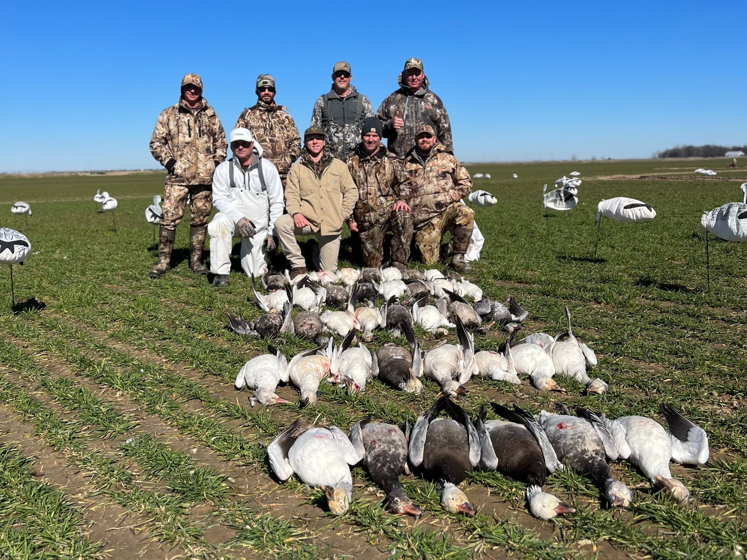 Photo 7 of guide Coastal Wings Guide Service and Lodge, 20+ years, uses Shotgun, specializes in Deer and Dove and Duck and Goose and Turkey, skilled in Calling and Decoys