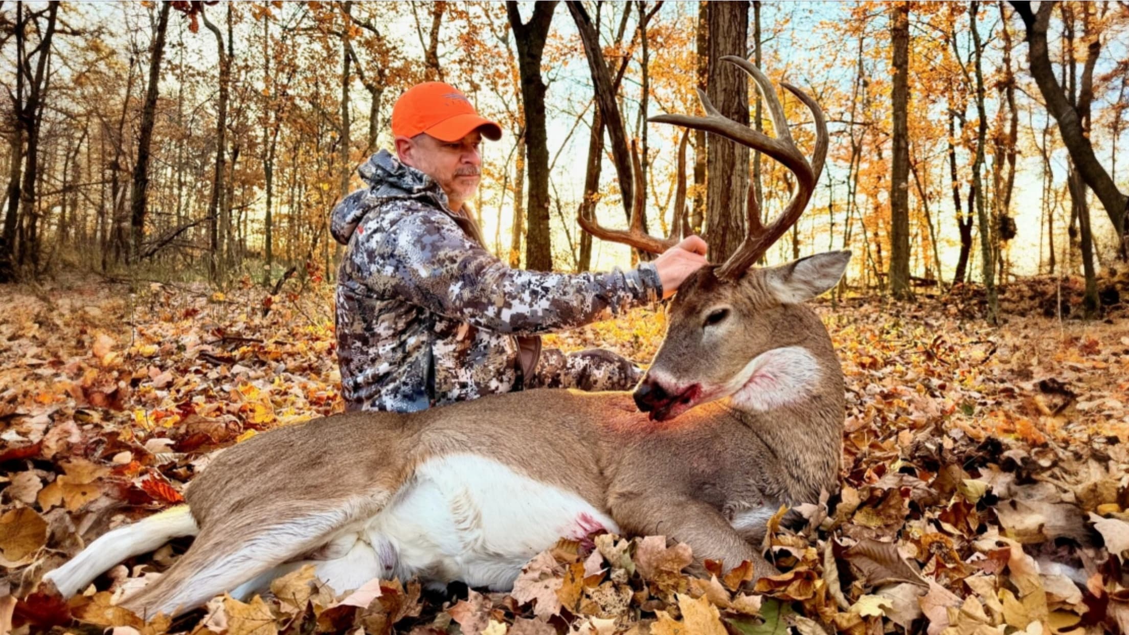 Man in camo pats a large buck with antlers lying in autumn leaves. Blood visible near deer's head. Forest backdrop. Orange...