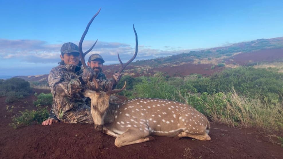 Photo 6 of guide Go Hawaii Outfitters, 10 - 20 years, uses Rifle, specializes in Axis Deer and Blackbuck, skilled in Spot and Stalk