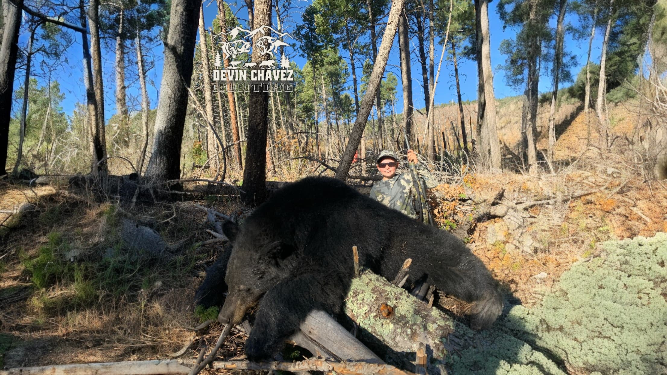 A hunter stands beside a large black bear in a forest. The bear is resting on a log. The hunter holds a rifle. Trees and s...