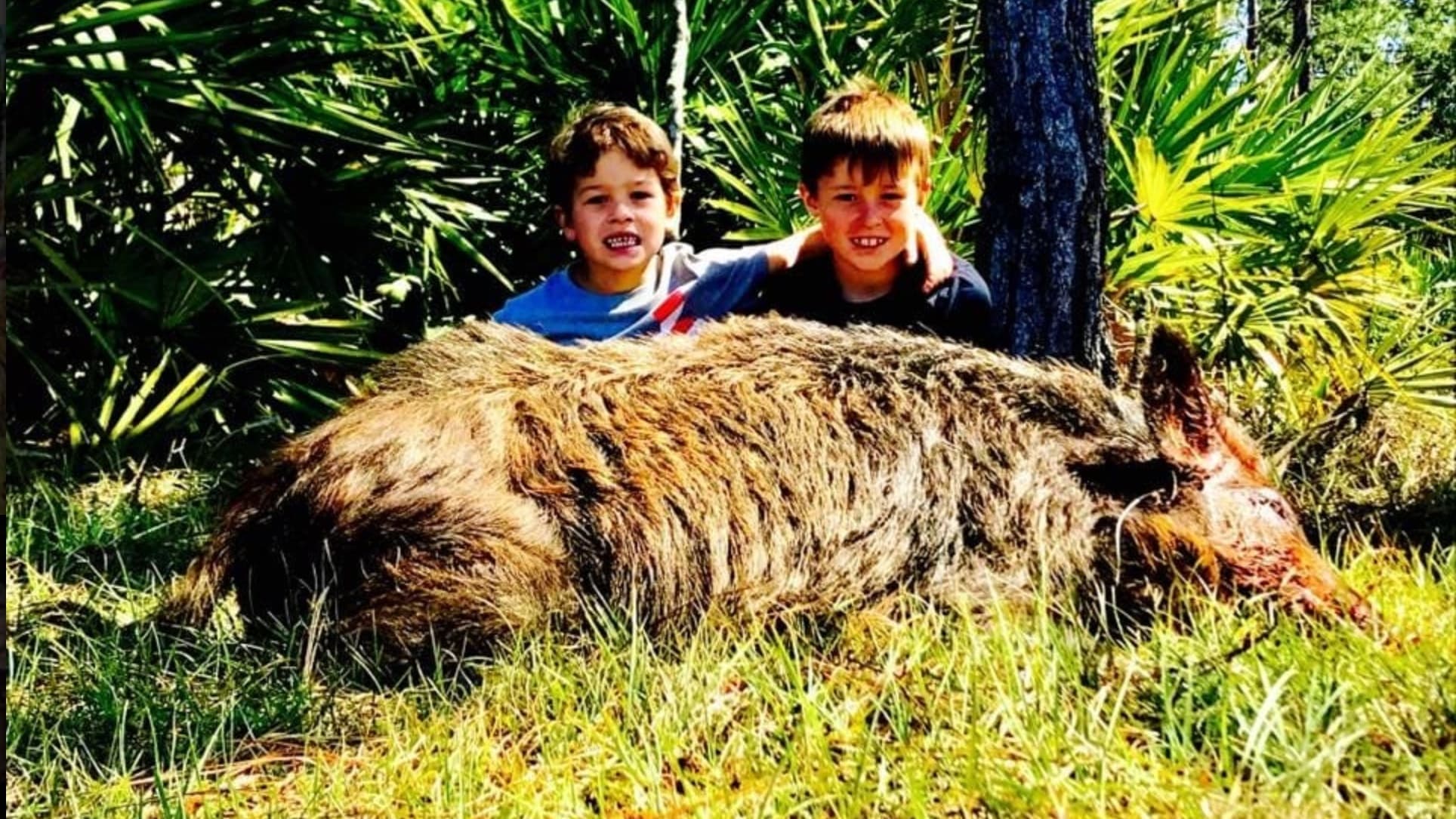 Two young boys pose over a large, dead wild boar in tall grass. The boys are smiling, in a forest setting with green foliage.