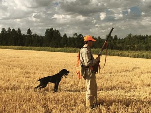 Hunter in orange hat, plaid shirt, and vest with shotgun stands in golden field next to black dog.