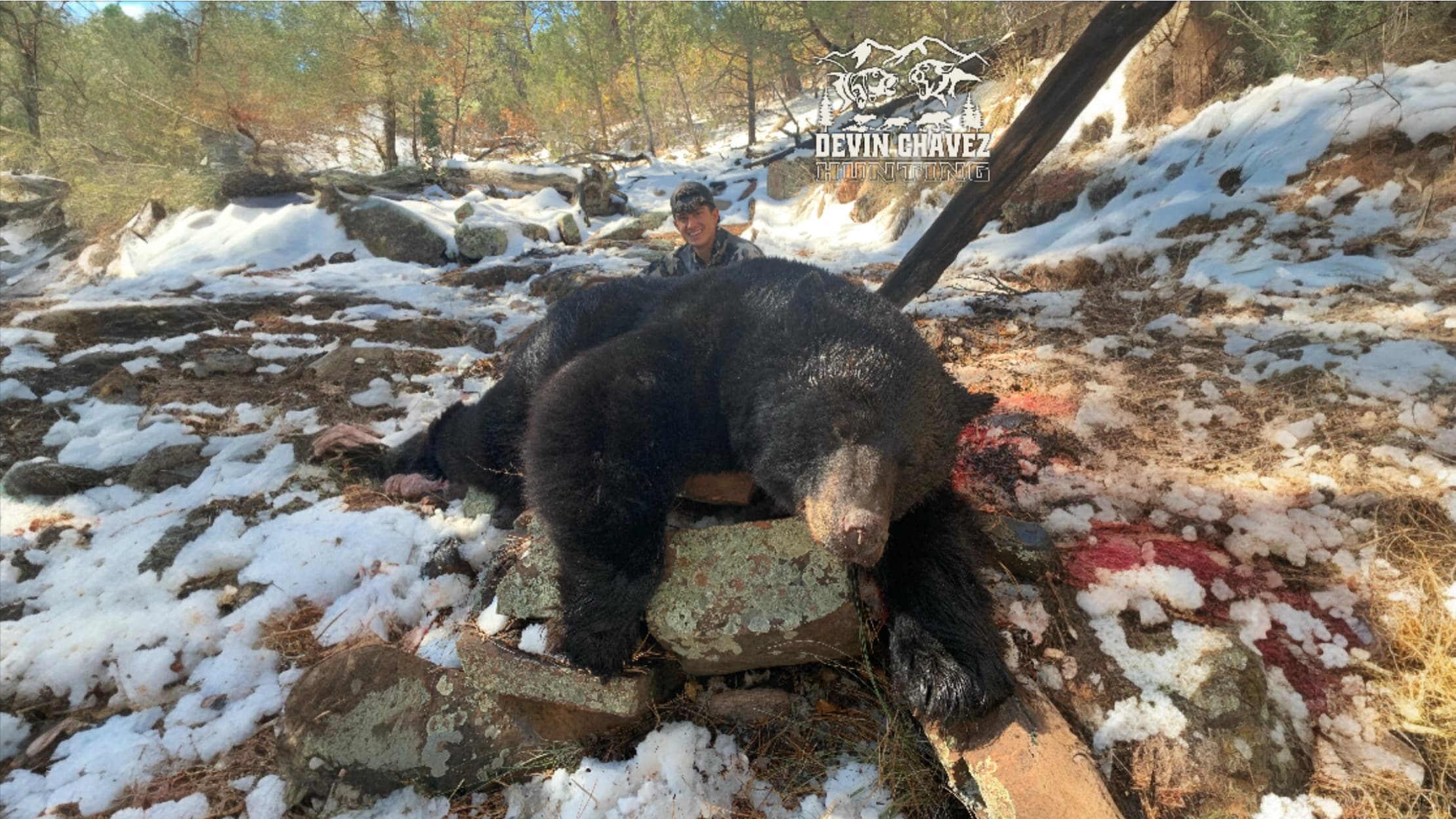 A black bear lies on a rocky, snowy ground. A man in camouflage gear stands behind the bear, smiling. The scene is outdoor...