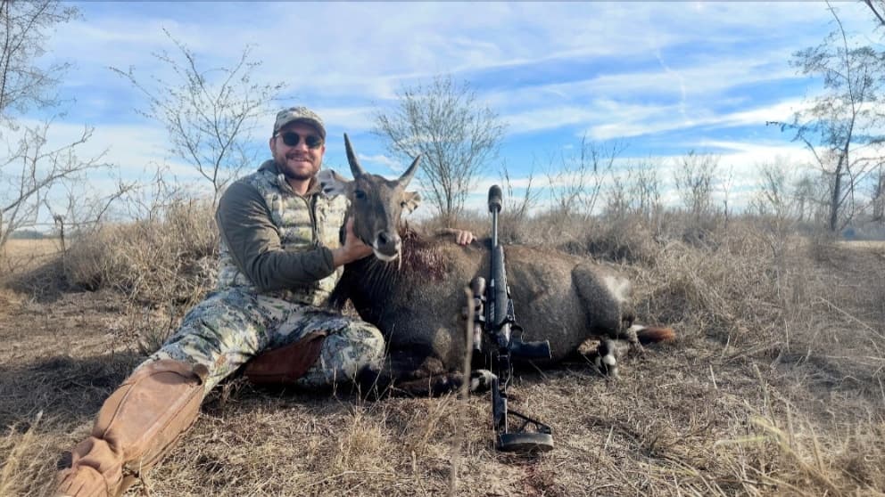 Photo 2 of guide Cactus Valley Outfitters, 10 - 20 years, uses Rifle, specializes in Antelope and Aoudad and Axis Deer and Deer and Nilgai and Wild Boar, skilled in Ground Blind and Night/Thermal Hunting and Spot and Stalk and Stand Hunting
