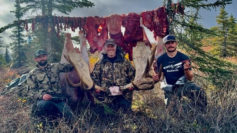 Three men pose with a large moose rack. Meat hangs in background. One holds antlers, another holds a knife. All are smilin...