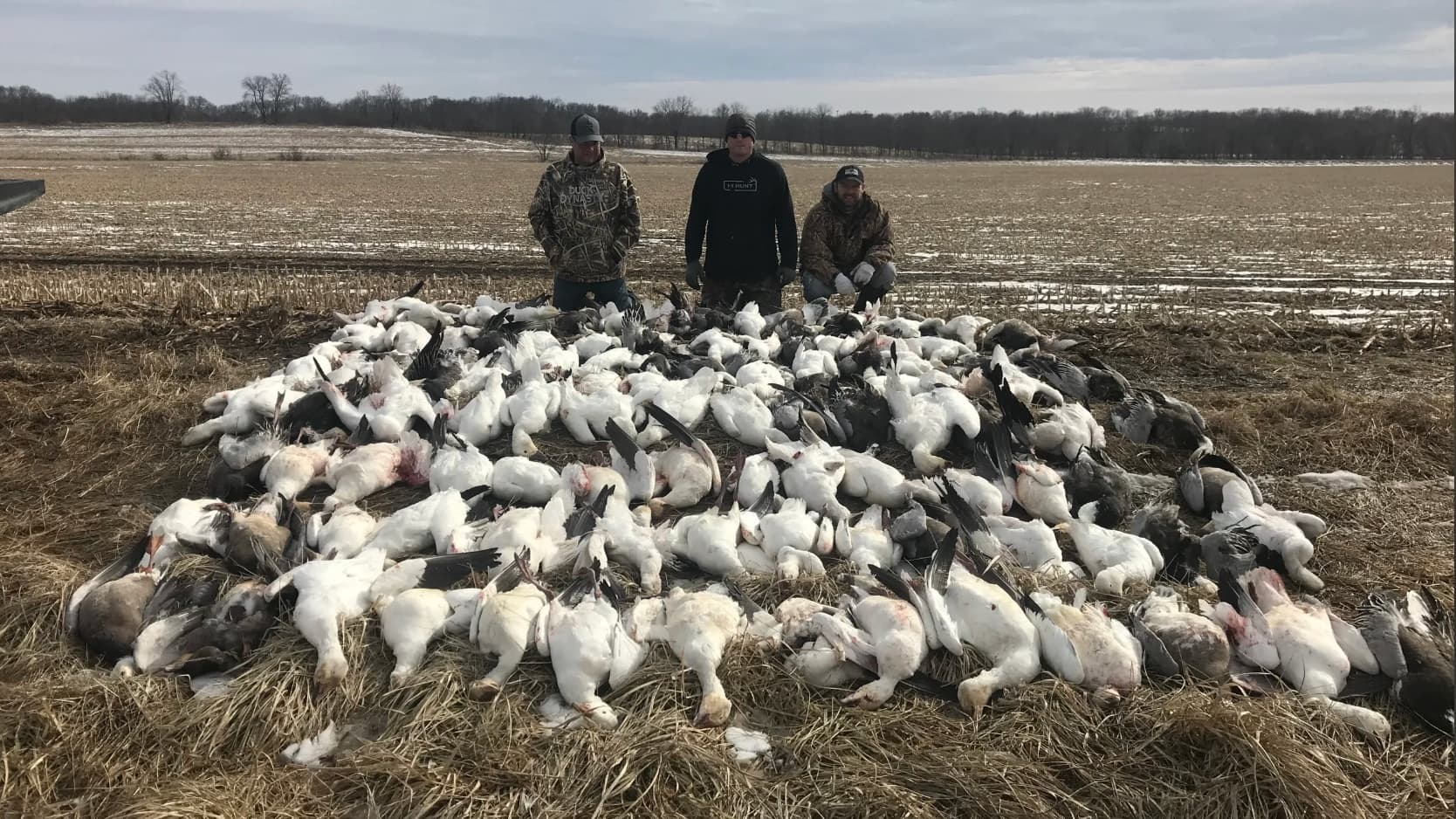 Thompson Outfitters