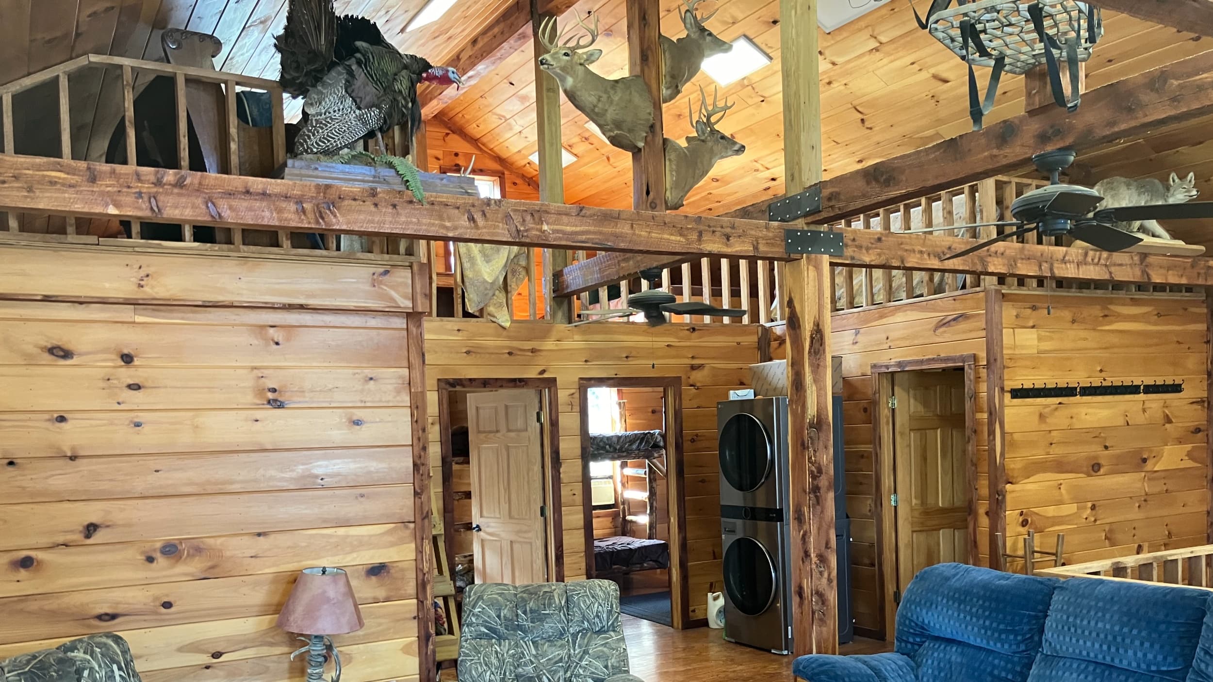 Gallery image 6 of 6