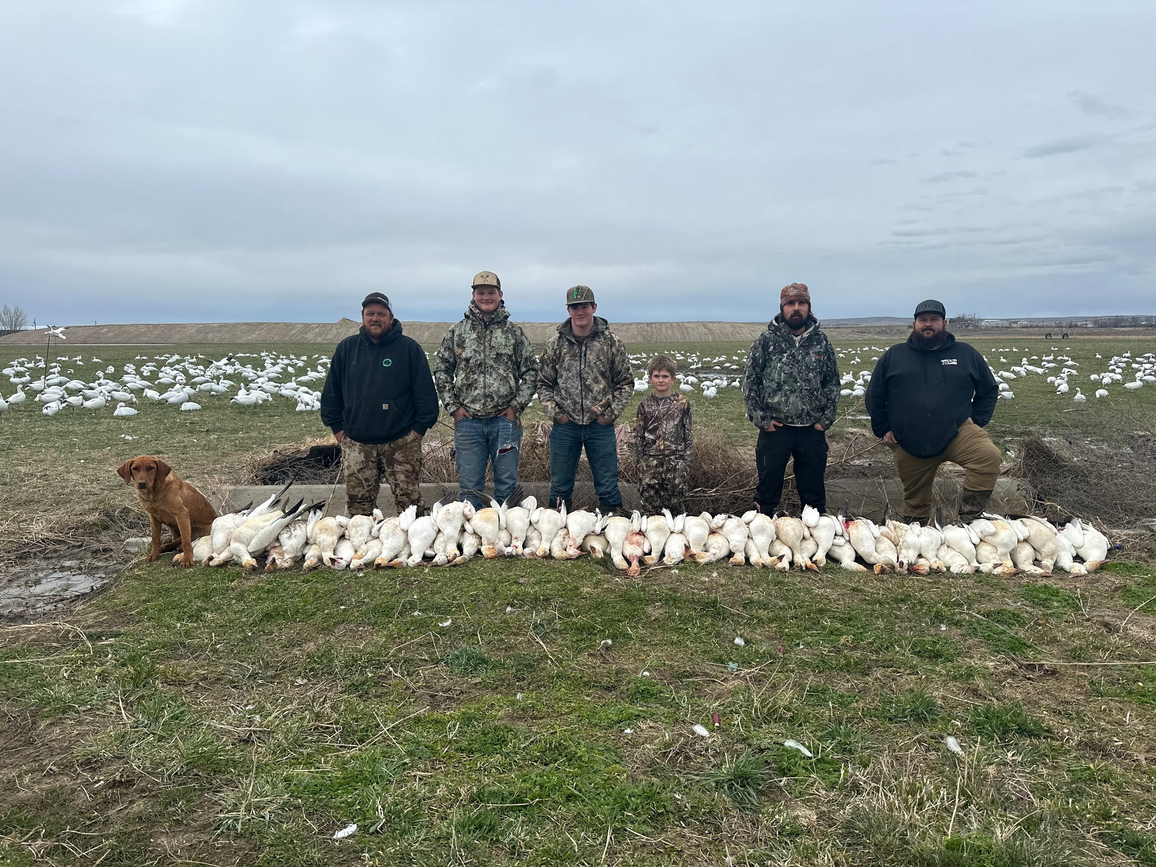Fish and Fur Outfitters