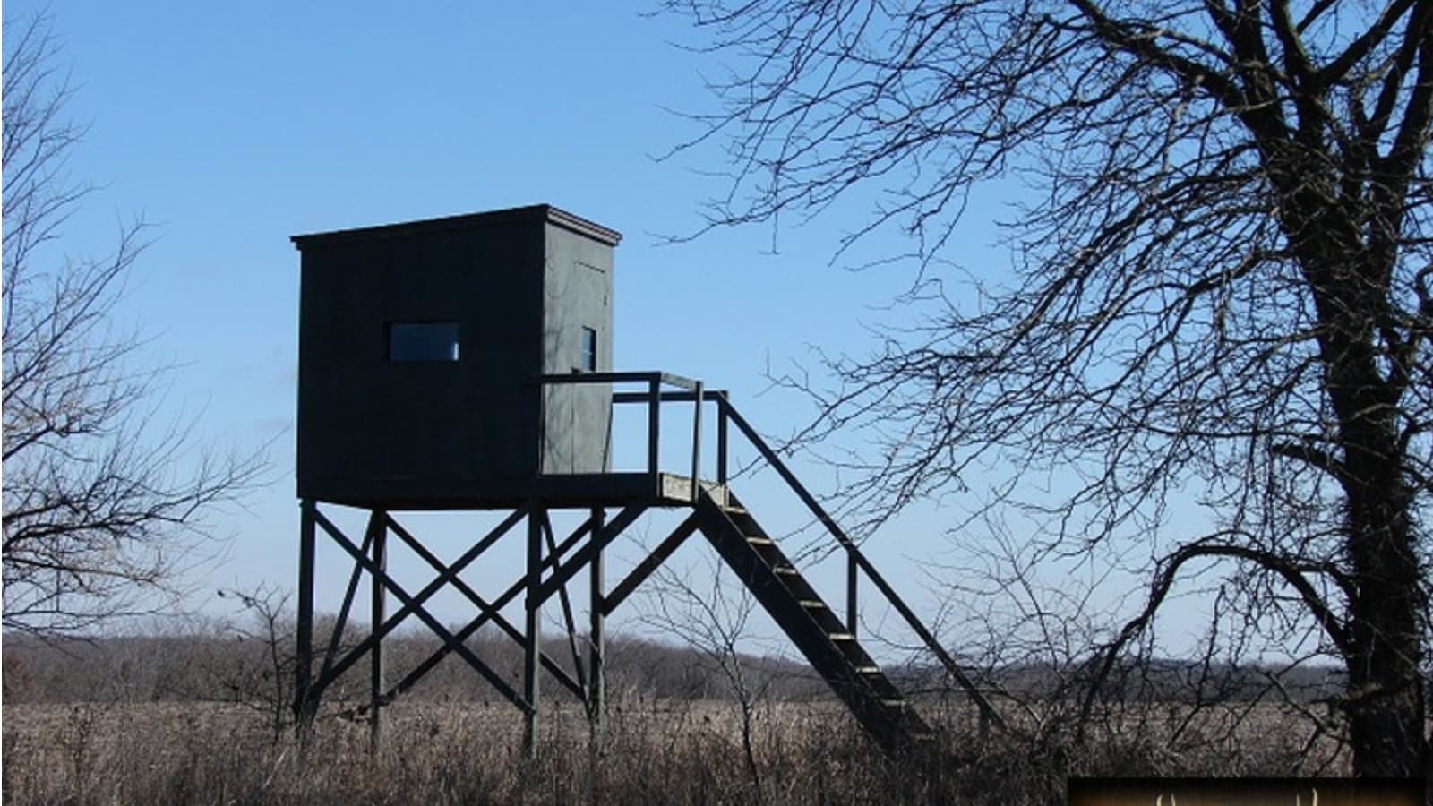 Elevated hunting blind in a field, supported by wooden beams with a staircase. Bare trees frame the structure against a bl...