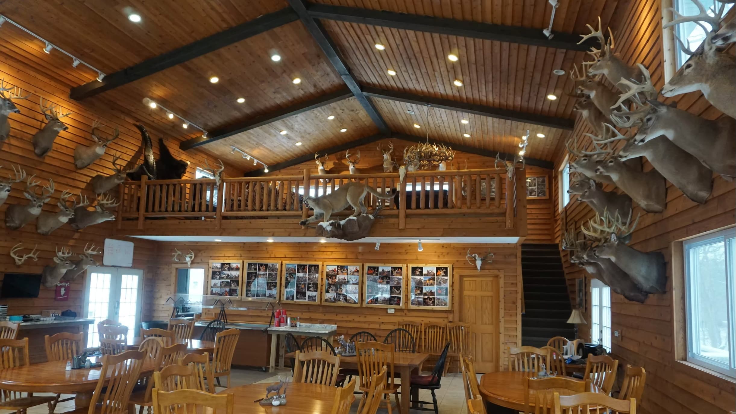 Interior of a rustic lodge with mounted deer heads, a cougar, and wooden furniture.