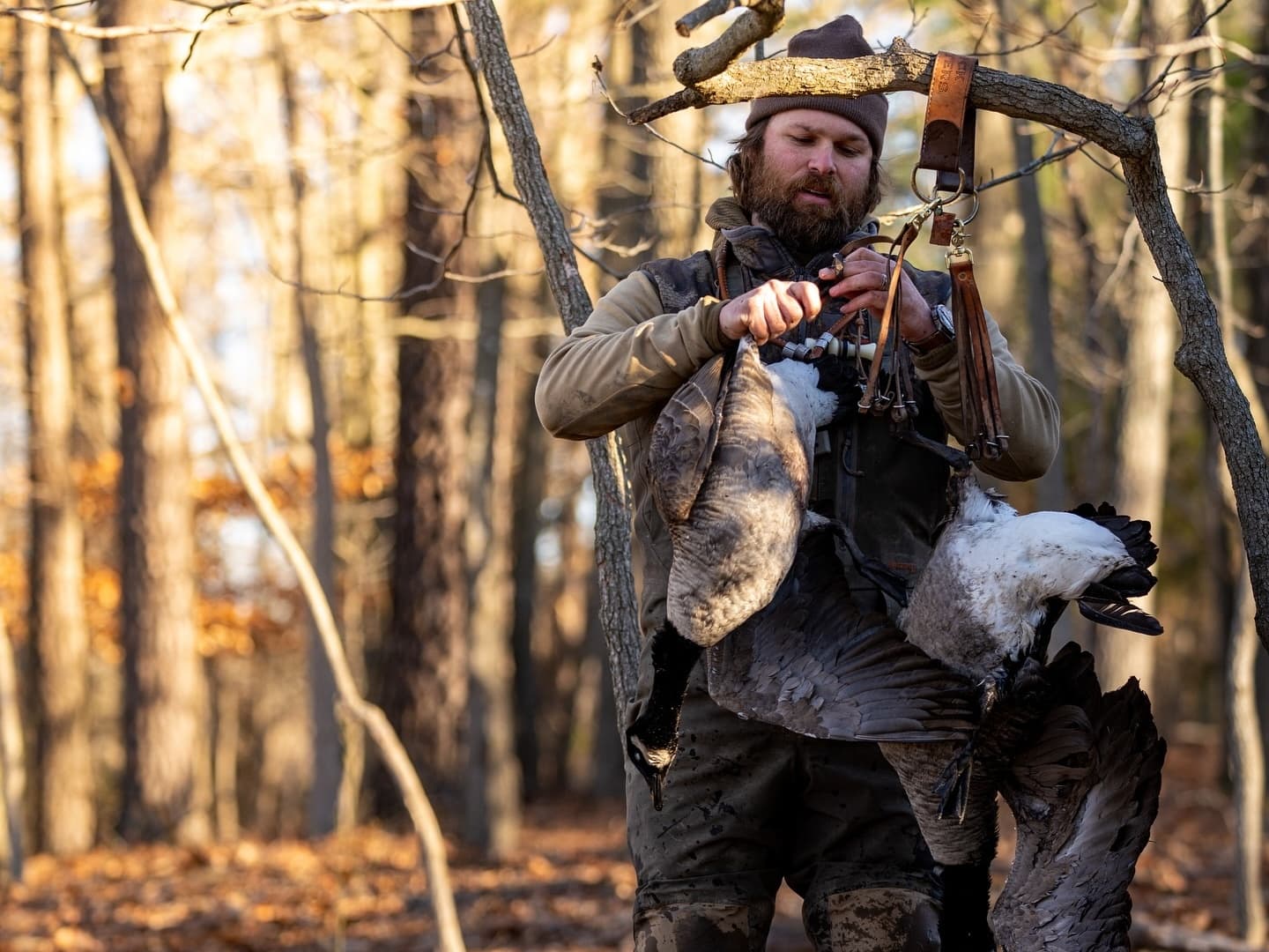 Photo 4 of guide Maverick Outfitters, 10 - 20 years, uses Shotgun, specializes in Duck, skilled in Calling and Decoys