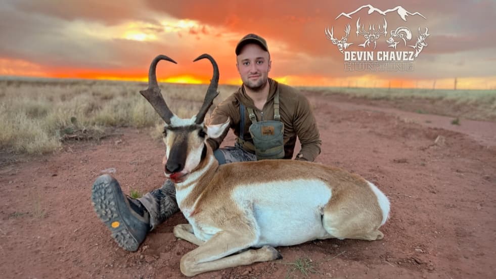Man with a harvested pronghorn antelope. Sunset backdrop, sitting on red dirt road. The animal has large horns and white/b...