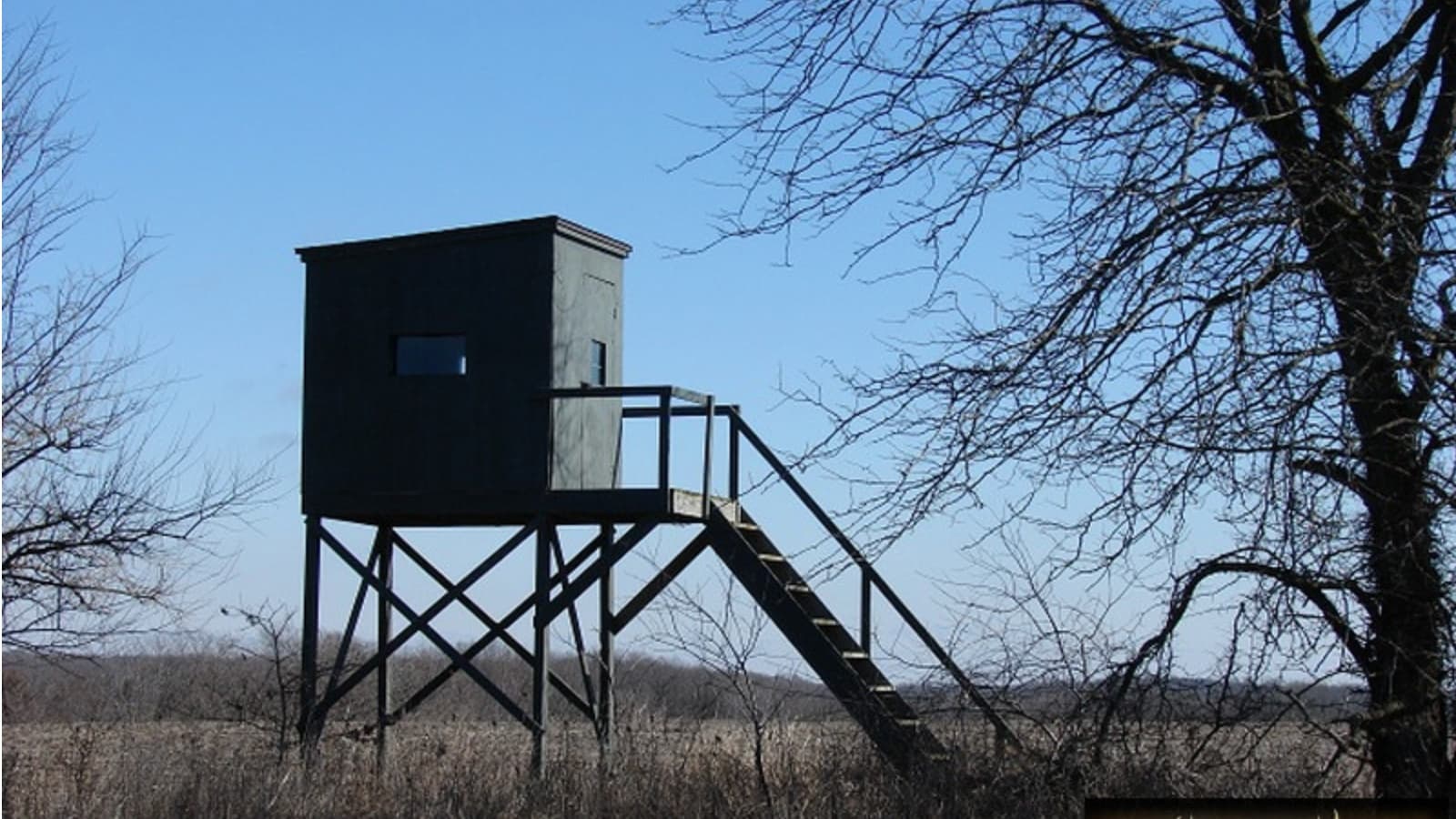 Elevated hunting blind on stilts with a ladder, standing in a field.  Bare trees frame the structure against a clear blue ...