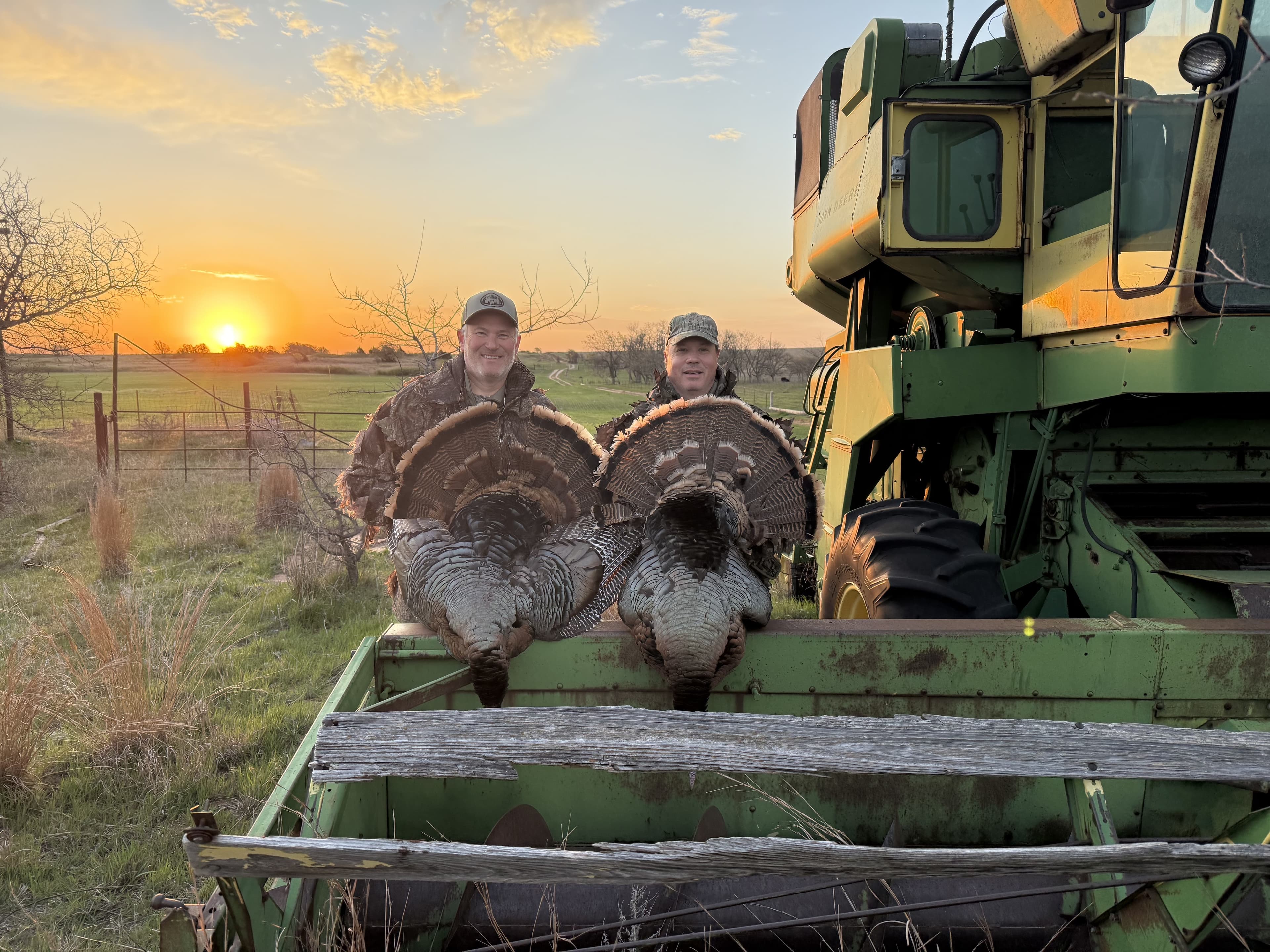 Two men in camouflage holding turkeys with fanned feathers, smiling in front of a green combine, at sunset.