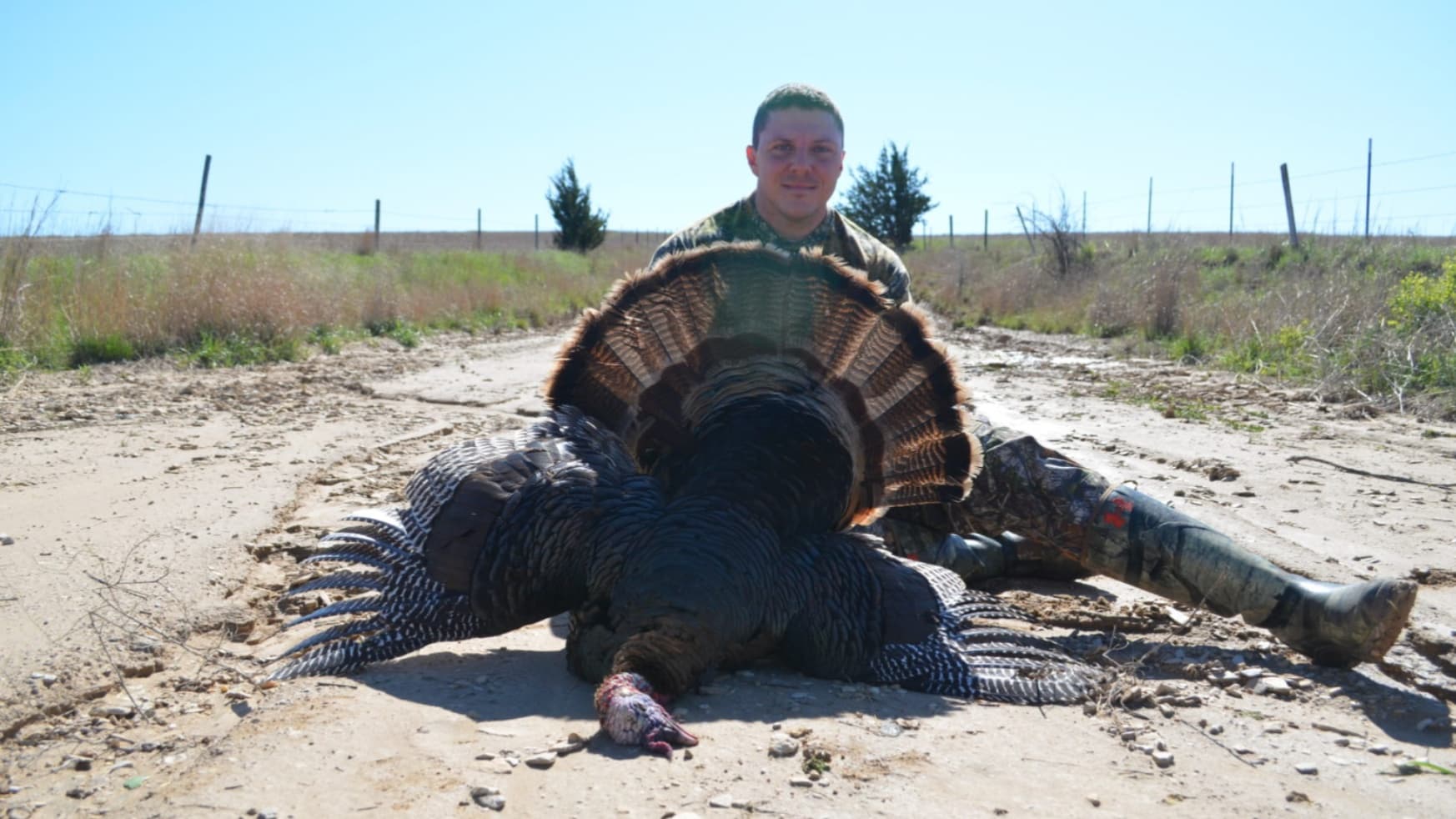 A man in camouflage kneels behind a large wild turkey, displayed on a dirt road. The turkey's tail feathers are fanned. Su...