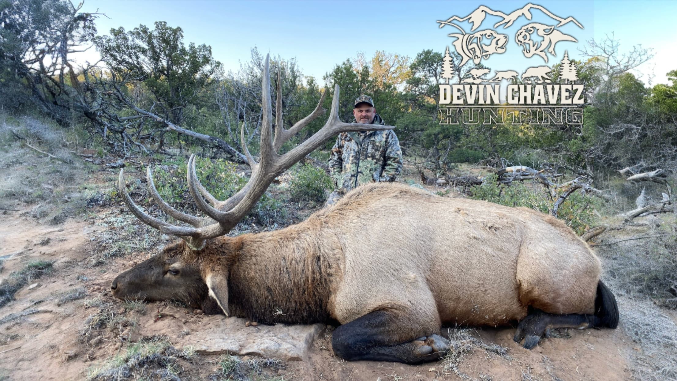 A large elk with large antlers lies on the ground, hunter in camouflage behind it. "Devin Chavez Hunting" logo in upper ri...
