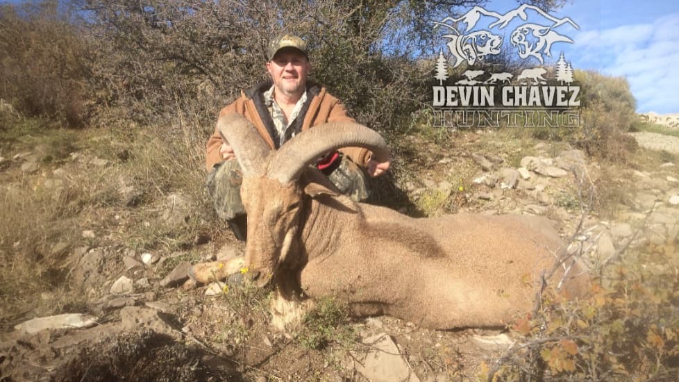 A man kneels with a large, horned Barbary sheep in a rocky, dry landscape. The man smiles, holding the animal. "Devin Chav...