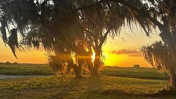 Cypress Marsh Outfitters