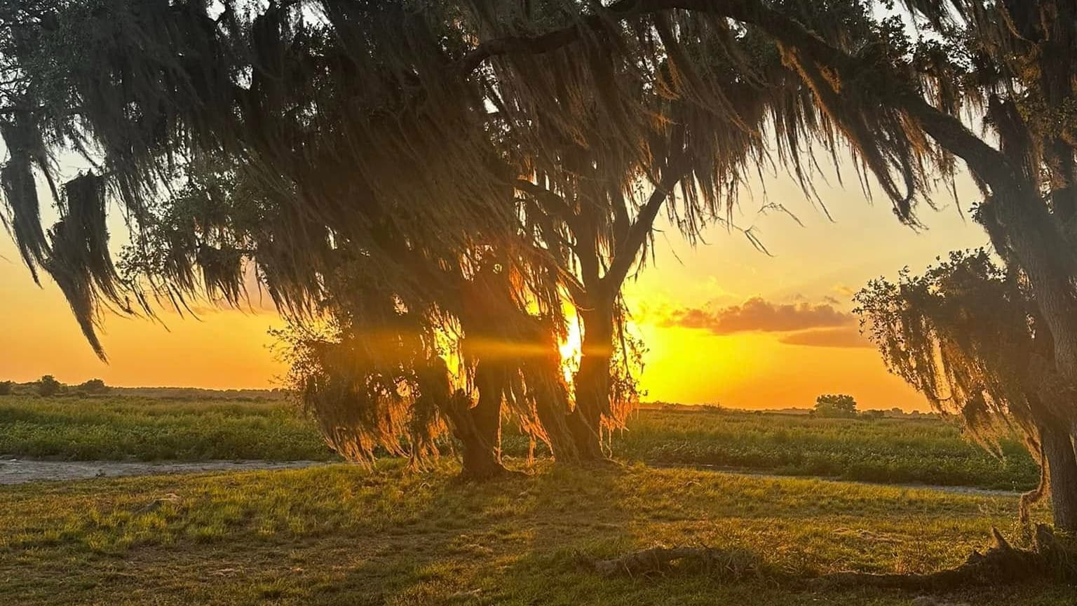 Cypress Marsh Outfitters