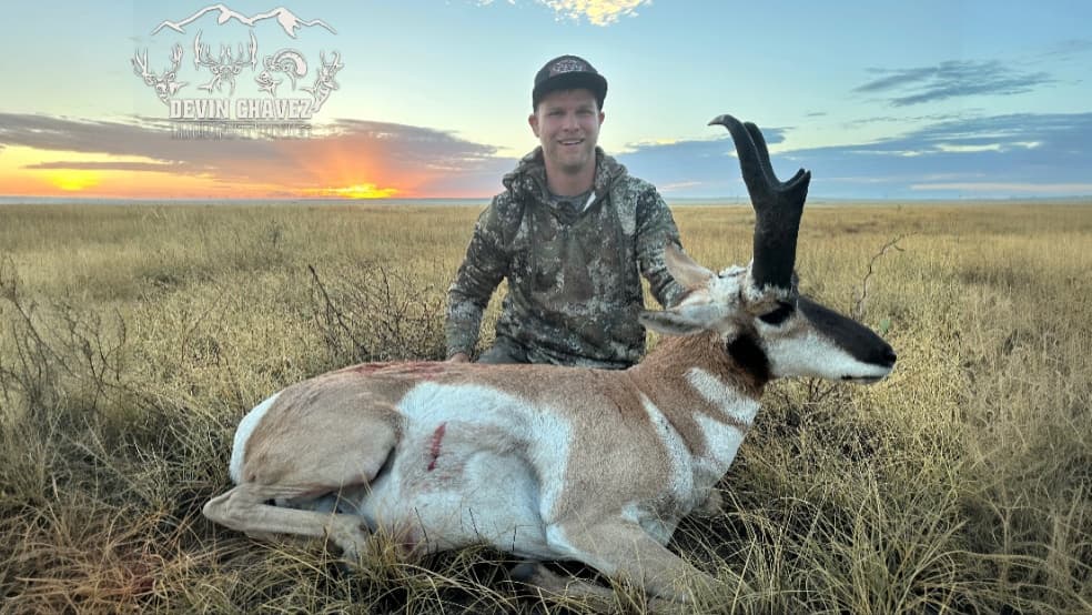 Man kneels next to a pronghorn antelope in a field. Pronghorn has a black and white coat, large horns. Sunset in background.