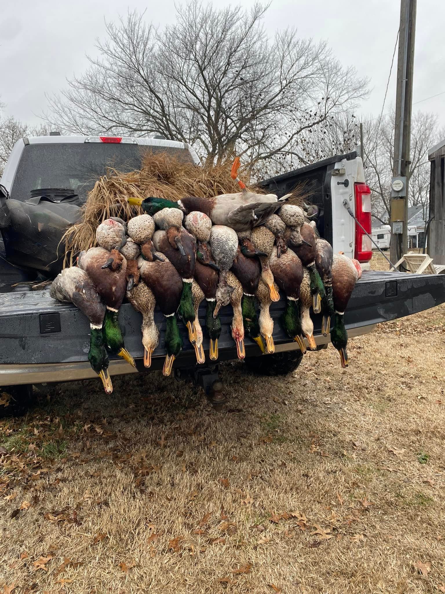 Photo 3 of guide Fox Flyways, Less than 5 years, specializes in Duck and Goose