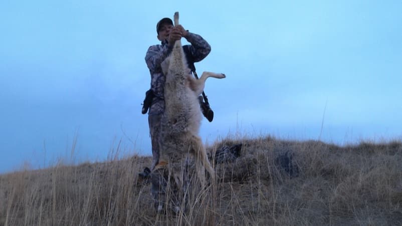 A person in camouflage holds up a dead coyote by its hind legs. The man stands in a grassy field under a cloudy sky.