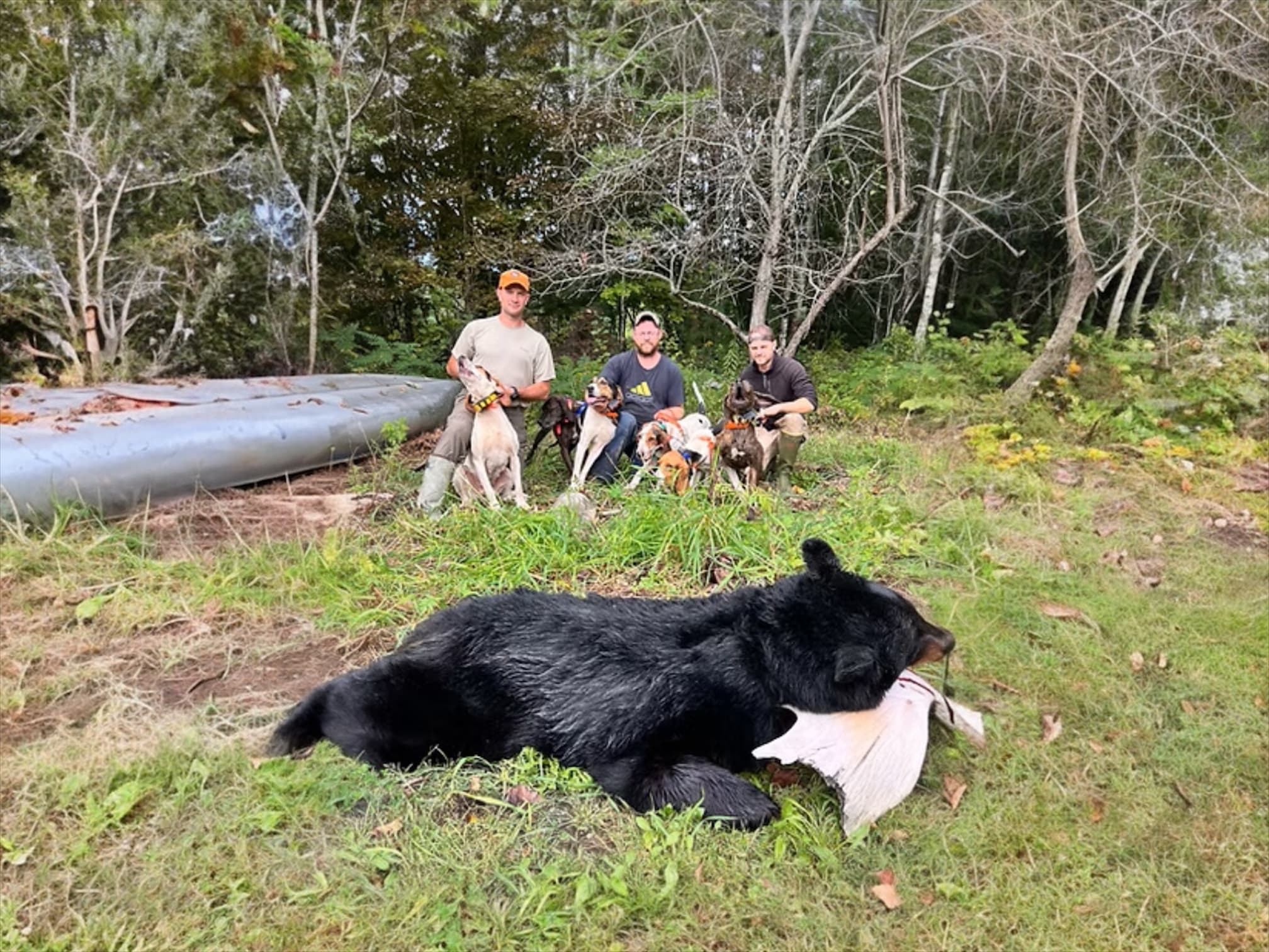 Photo 7 of guide Schanz's Guide Service, 20+ years, uses Rifle, specializes in Bear and Deer and Moose and Turkey, skilled in Baiting and Hunting with Dogs and Spot and Stalk and Tracking