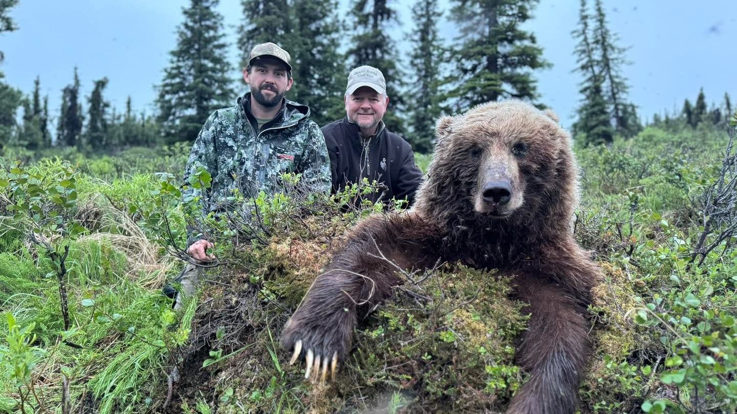 Two men pose with a large brown bear in a forest. The bear rests on moss and looks directly at the camera. Tall evergreens...
