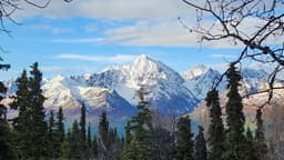 Wild Alaska Outfitters
