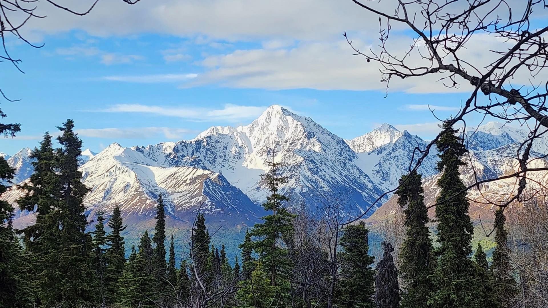 Wild Alaska Outfitters