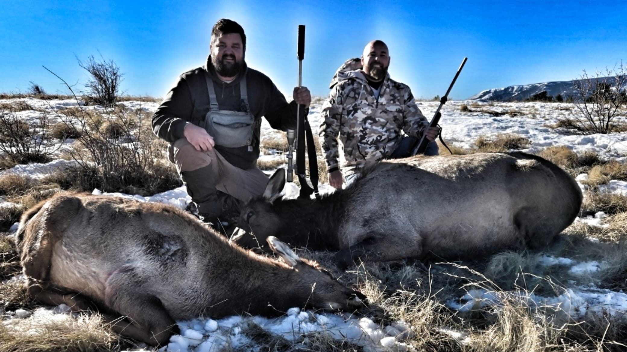 3-Day New Mexico Rifle Cow Elk Hunt