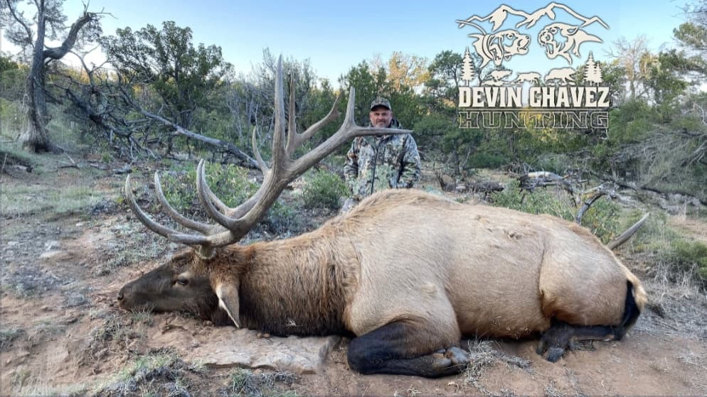 Photo 8 of guide Devin Chavez Hunting , 5 - 10 years, uses Bow and Muzzleloader and Rifle, specializes in Antelope and Aoudad and Barbary Sheep and Bear and Black Bear and Bobcat and Deer and Elk and Ibex and Javelina and Mountain Lion and Mule Deer and Oryx and Turkey, skilled in Calling and Hunting with Dogs and Spot and Stalk and Still Hunting and Tracking