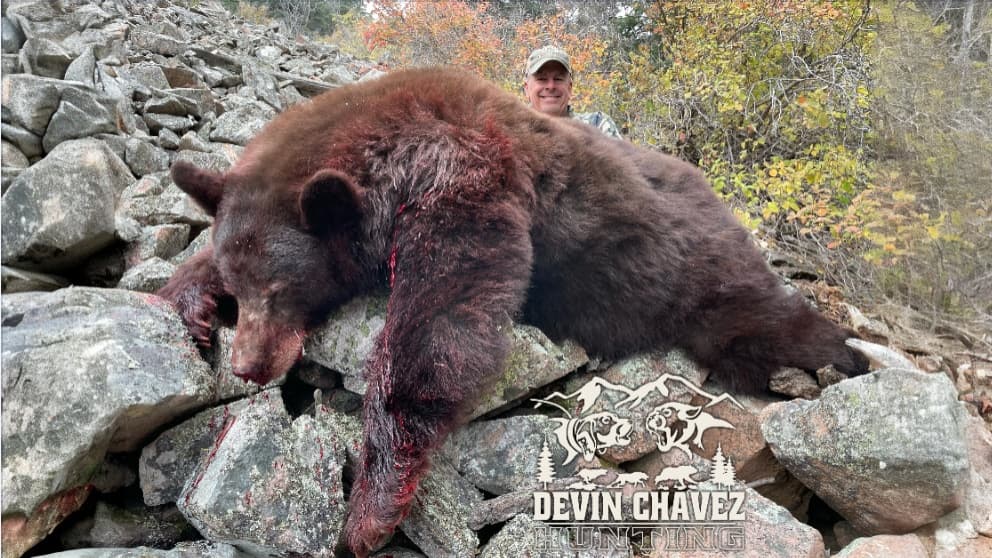 A large dead brown bear lies on rocks. Blood covers the bear. A man smiles behind the bear, and a hunting logo is at the b...