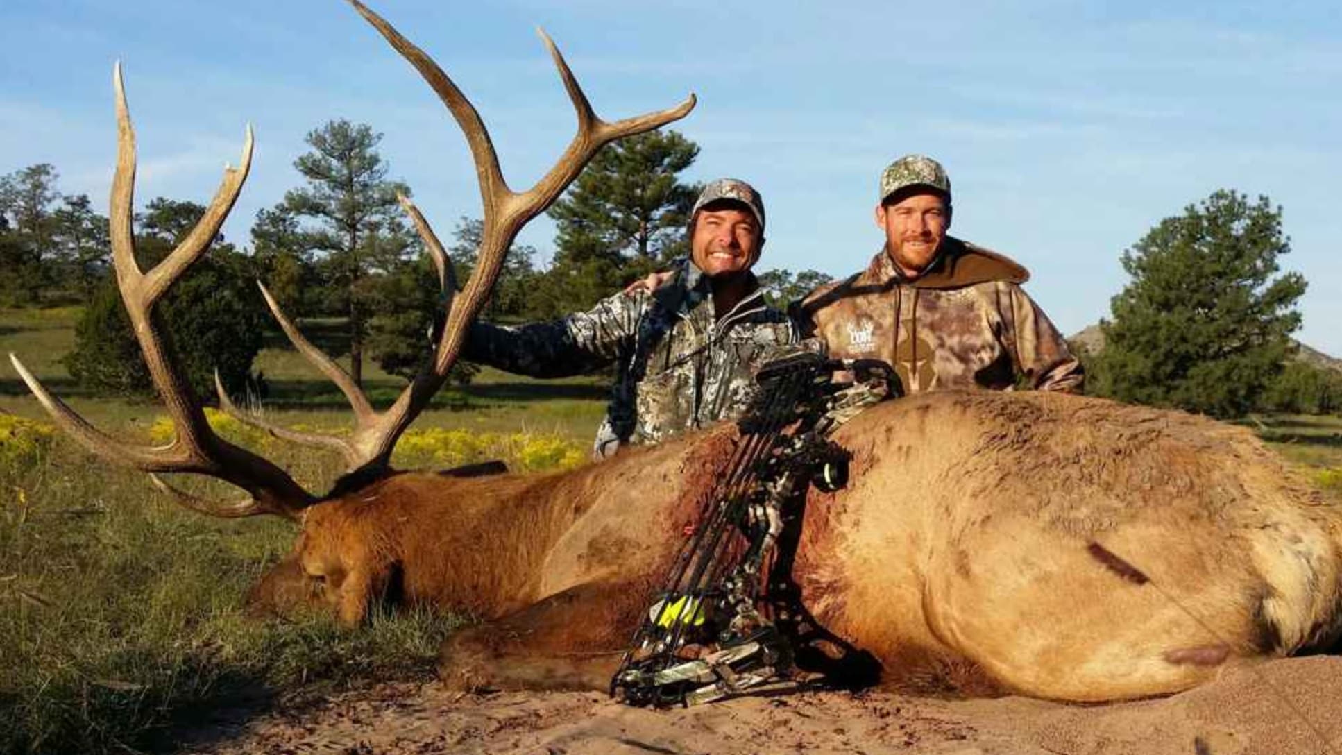 Two hunters pose with a large elk, lying on the ground. The elk has large antlers and a bow is resting on its side.