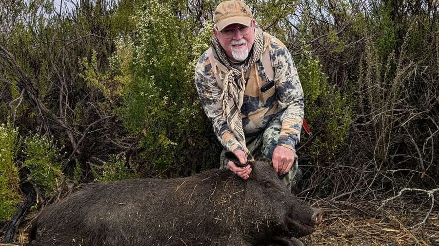 Man in camouflage gear kneels next to a dead wild boar. The man is touching the boar's ear, with brush in the background.