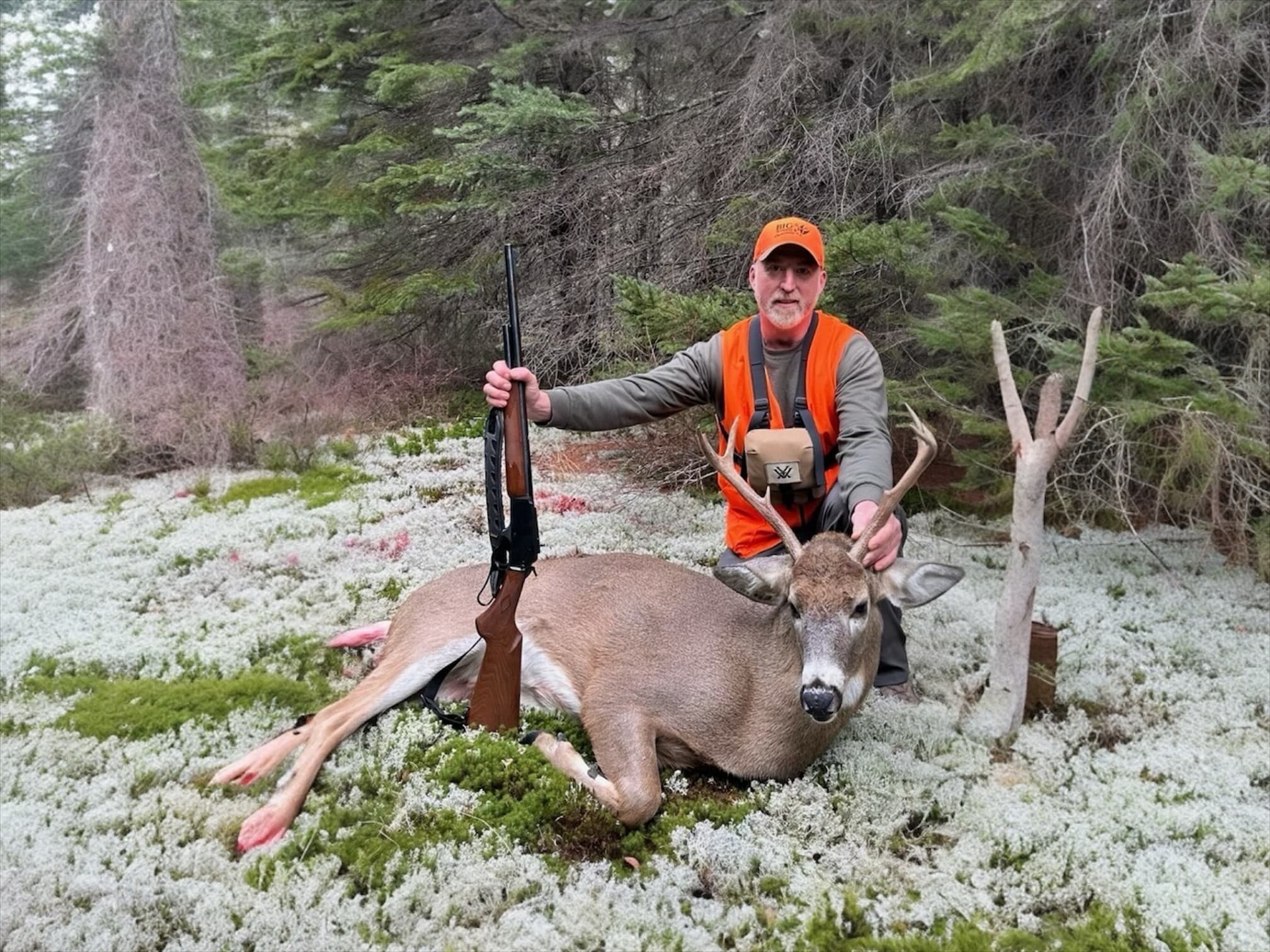 Photo 3 of guide Big Woods Outfitters, 20+ years, uses Rifle, specializes in Bear and Deer and Moose, skilled in Spot and Stalk and Tracking