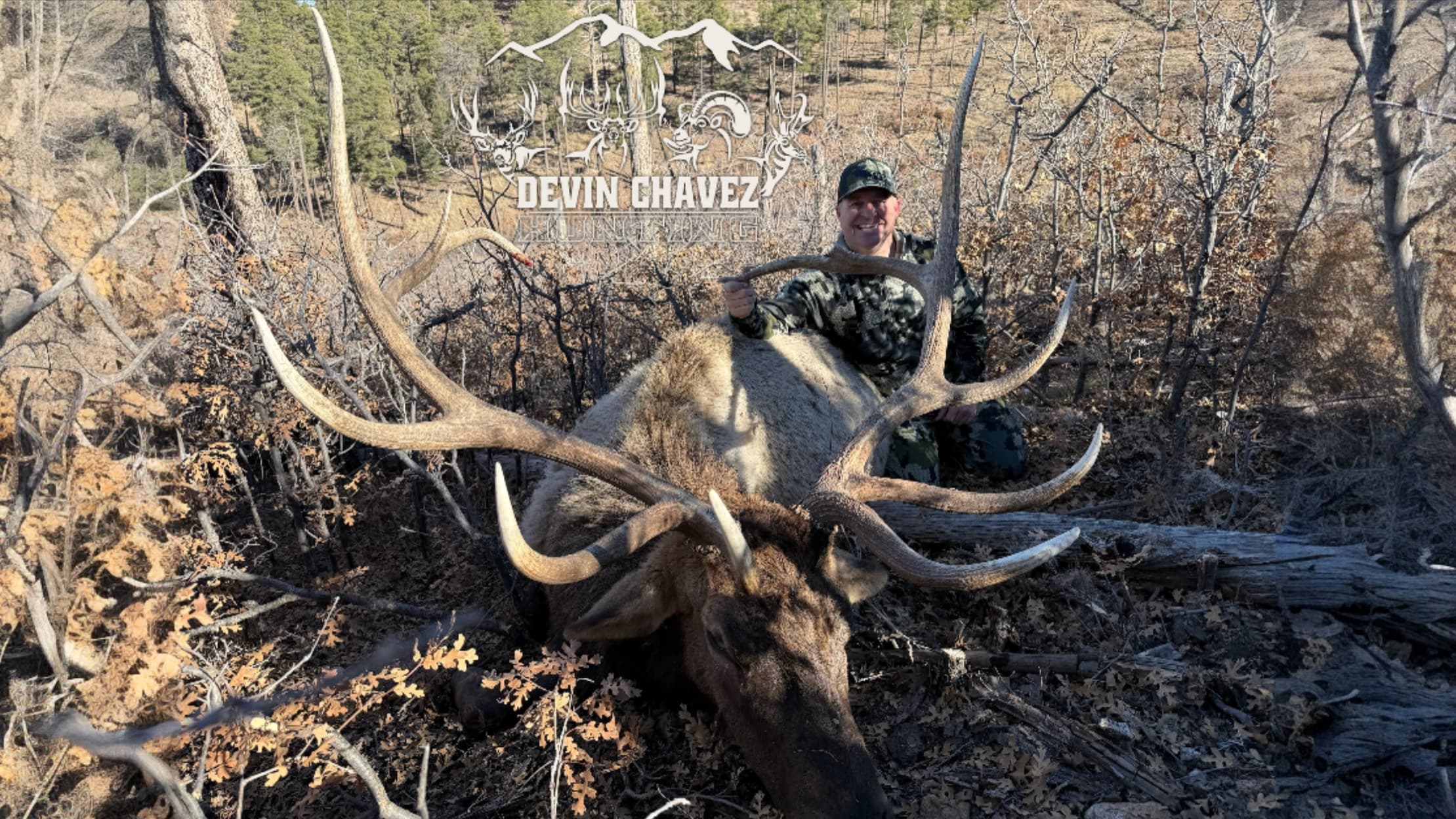 Man in camouflage smiles over a large elk with impressive antlers, lying on the forest floor.