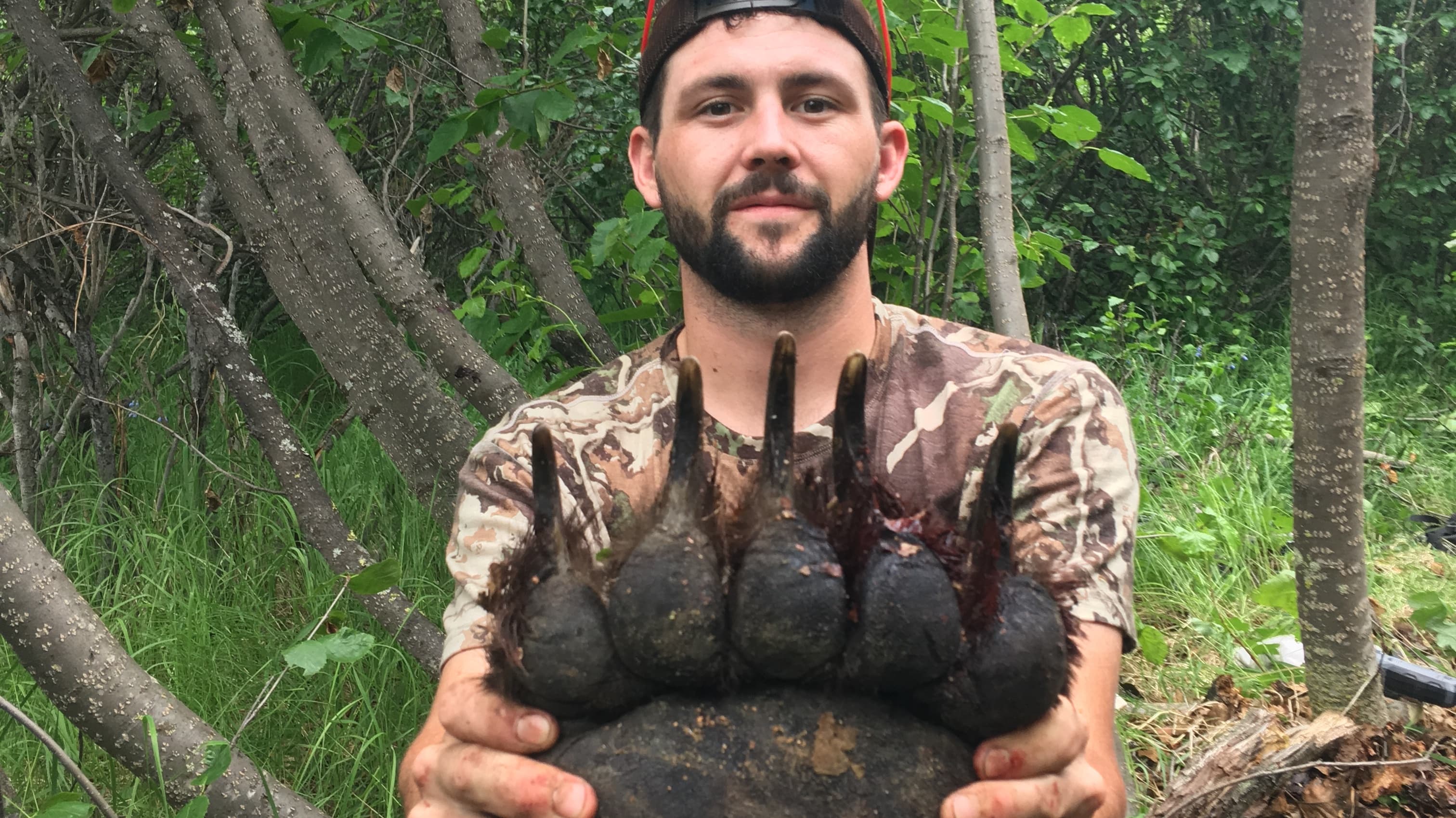 Man in camouflage holds a large bear paw with long claws. Green foliage and tree trunks in the background. Man wearing a hat.