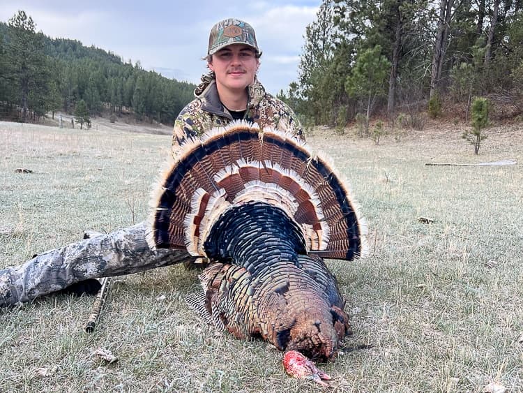 Photo 3 of guide KM Wildlife, 10 - 20 years, uses Shotgun, specializes in Turkey, skilled in Calling and Run and Gun