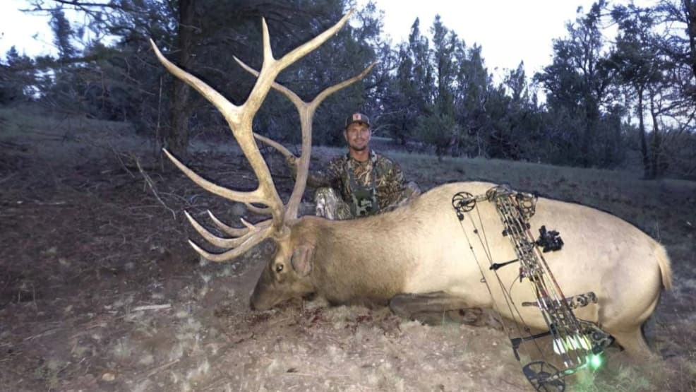 Hunter kneels beside a large elk with impressive antlers. A bow rests on the elk's side. The forest is in the background.