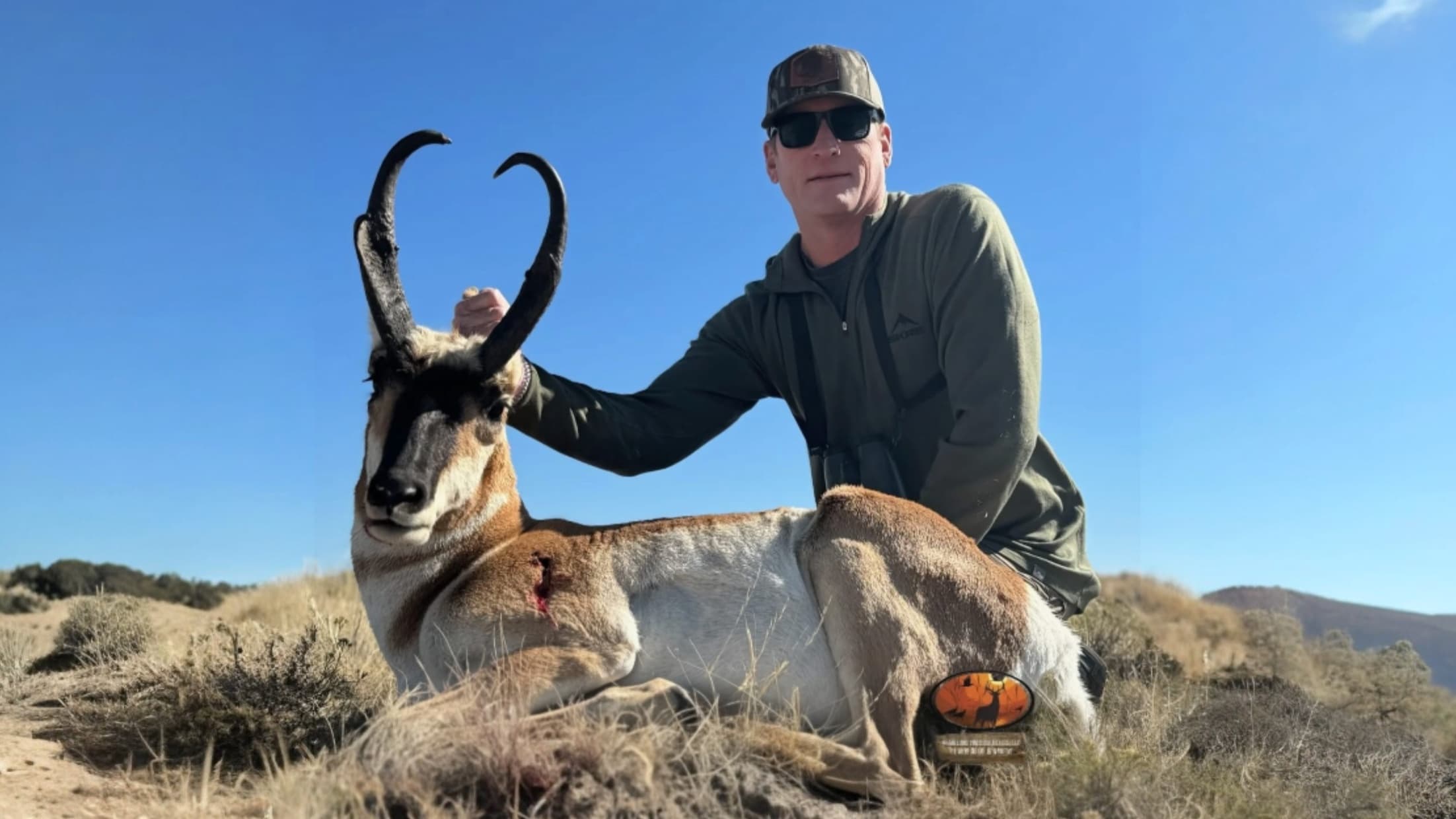 Man with sunglasses, camouflage hat, poses with a pronghorn. The pronghorn lays on the ground, has long, black horns, in a...