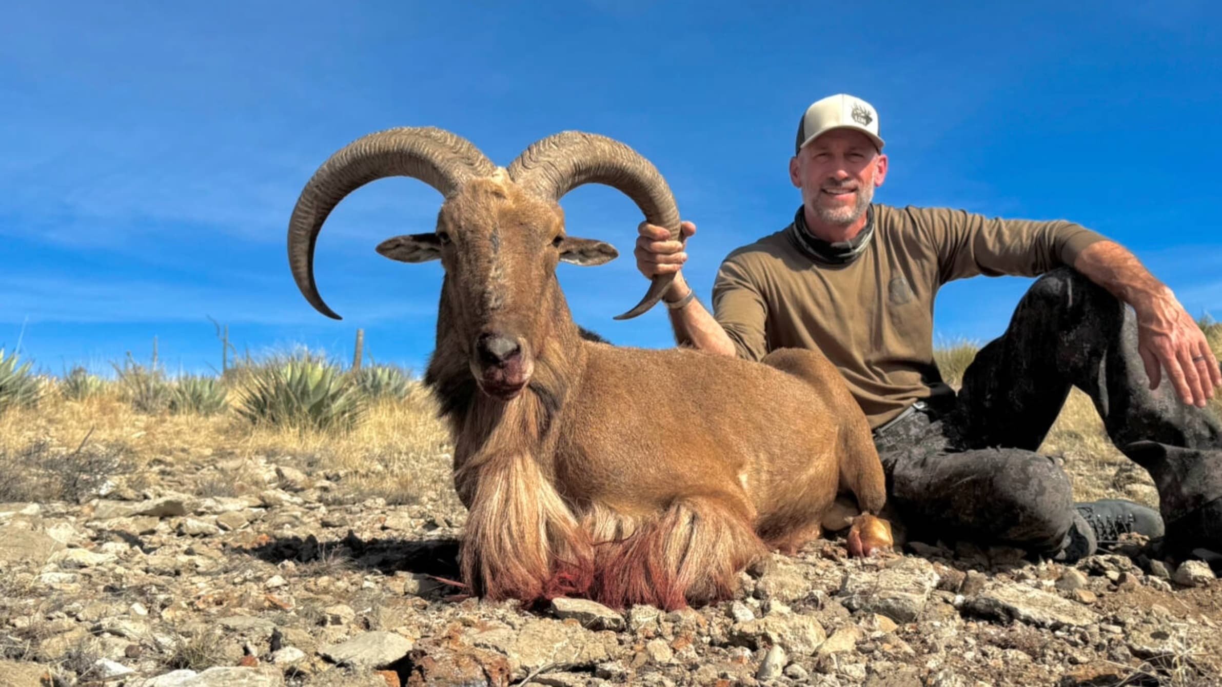 Photo 4 of guide LOH Outfitters, 20+ years, uses Bow and Crossbow and Muzzleloader and Rifle, specializes in Barbary Sheep and Deer and Elk and Gemsbok and Ibex and Mule Deer and Oryx, skilled in Calling and Spot and Stalk and Still Hunting