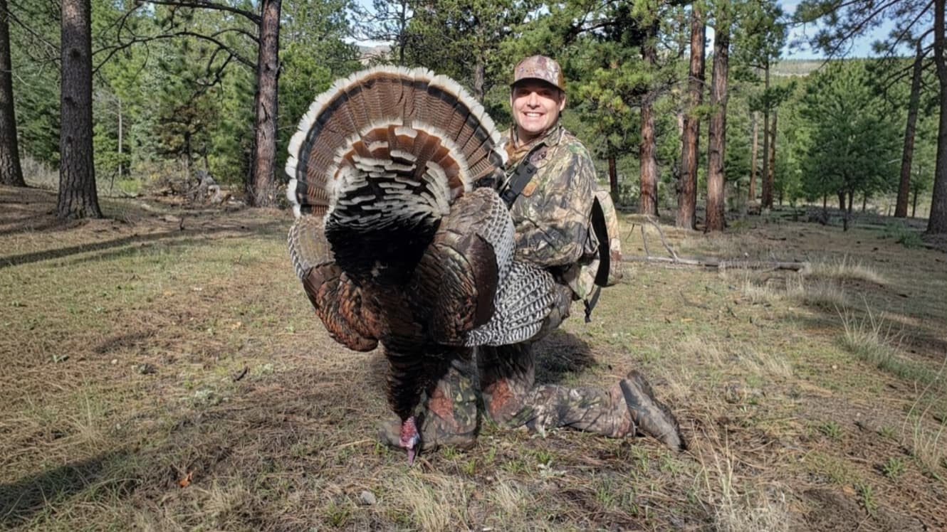 3-Day New Mexico Turkey Hunt