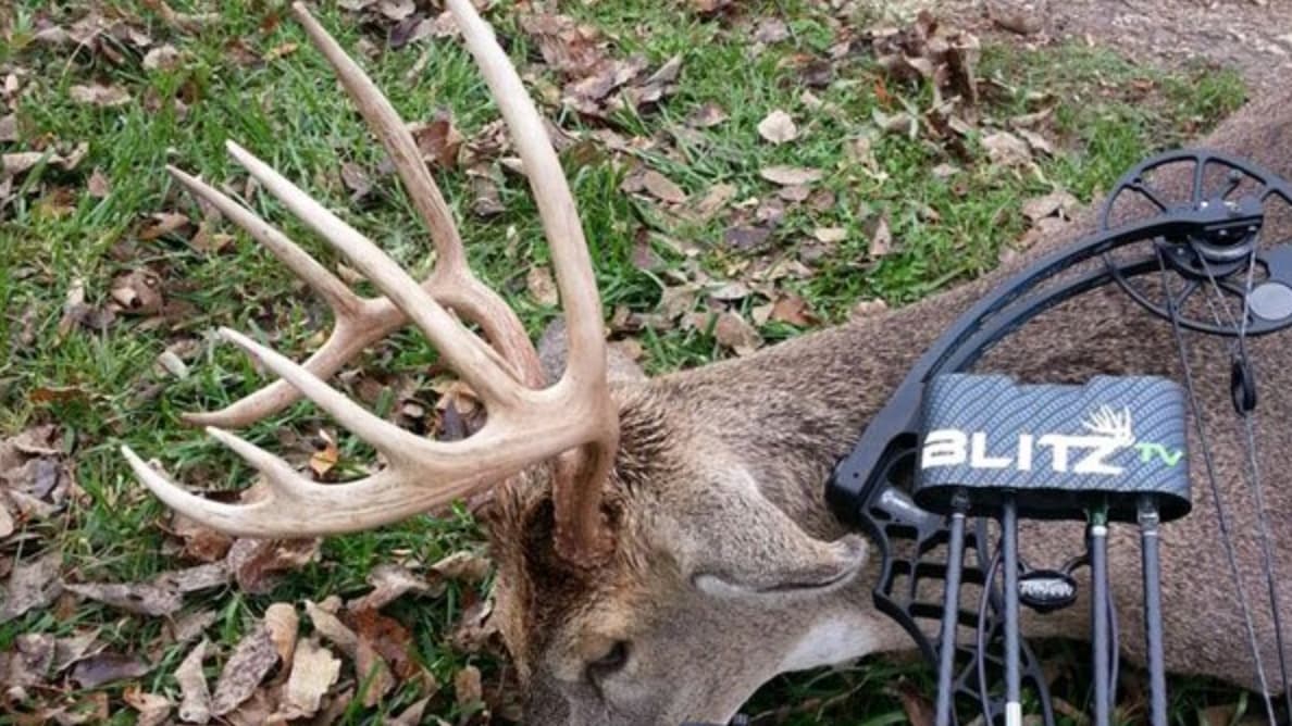 Whitetail deer buck with large antlers lying on grassy ground next to a compound bow.
