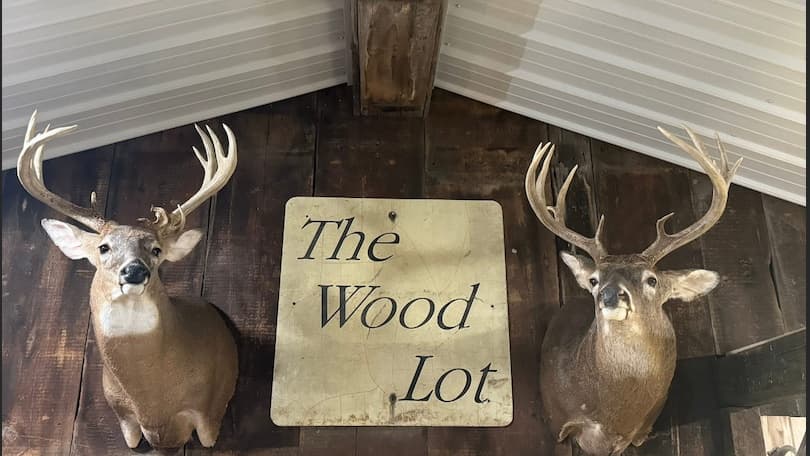 Photo 5 of guide Woodlot Whitetails, 10 - 20 years, uses Bow and Crossbow, specializes in Deer, skilled in Stand Hunting