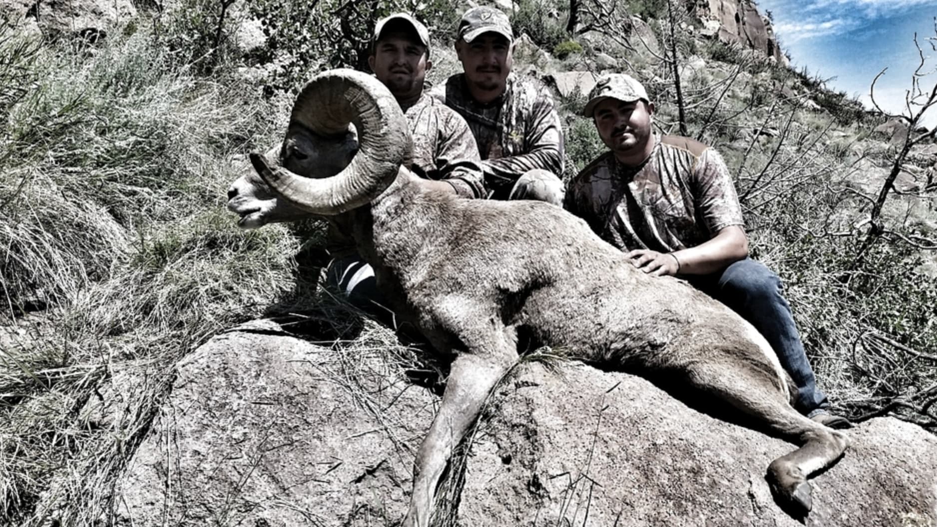 Photo 2 of guide Sierra Blanca Outfitters, 20+ years, uses Bow and Muzzleloader and Rifle, specializes in Antelope and Bear and Black Bear and Elk and Mountain Lion and Mule Deer and Turkey, skilled in Calling and Decoys and Ground Blind and Hunting with Dogs and Run and Gun and Spot and Stalk and Still Hunting