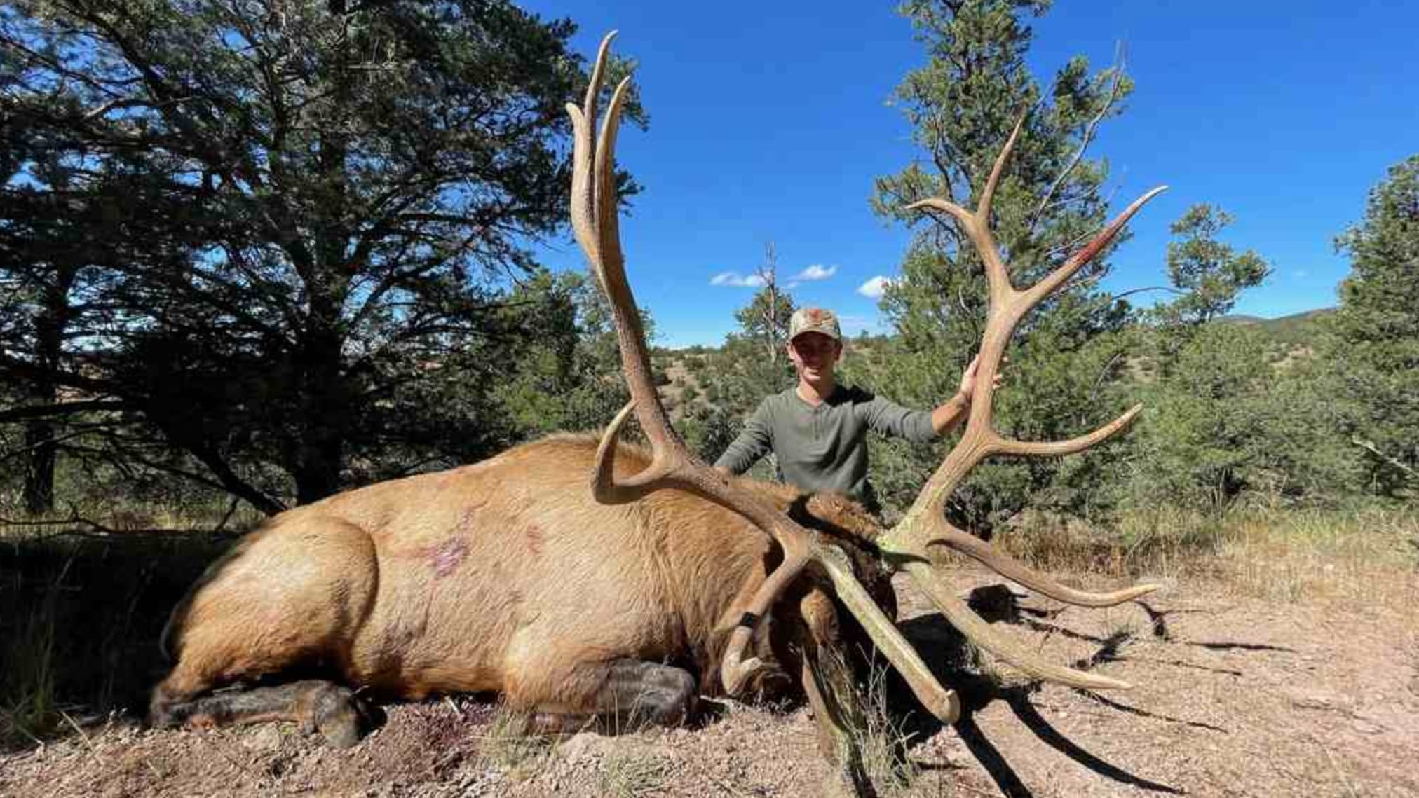A young man stands behind a large, dead elk, its massive antlers towering over him. The elk is lying on the ground, in a f...