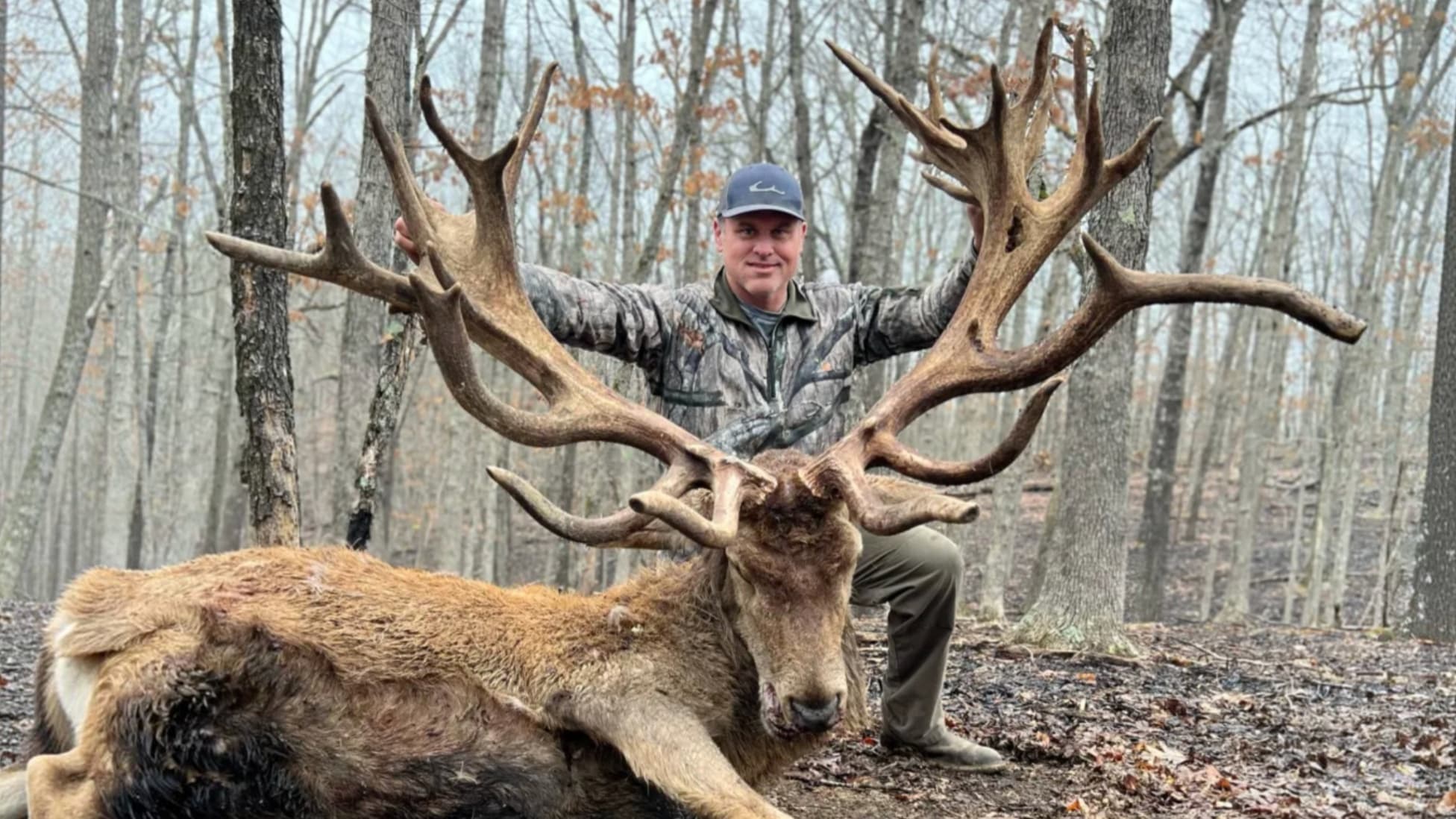 A hunter in camouflage kneels behind a large red deer with massive, intricate antlers in a forest.