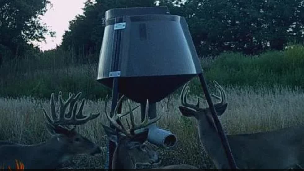 Photo 6 of guide Beamer's Guide Service, 20+ years, uses Bow and Muzzleloader and Rifle and Shotgun, specializes in Deer and Turkey, skilled in Decoys and Stand Hunting